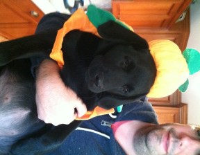 Laney- Endless Mt. Labradors